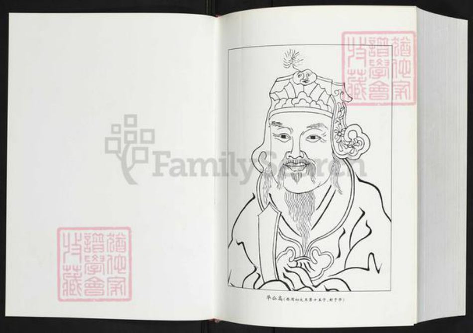 福建省南平市政和县魏氏九合堂族谱-政和魏氏全谱.pdf电子版插图2