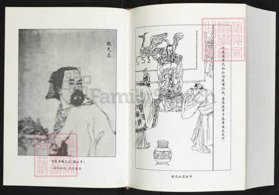 福建省南平市政和县魏氏九合堂族谱-政和魏氏全谱.pdf电子版插图4