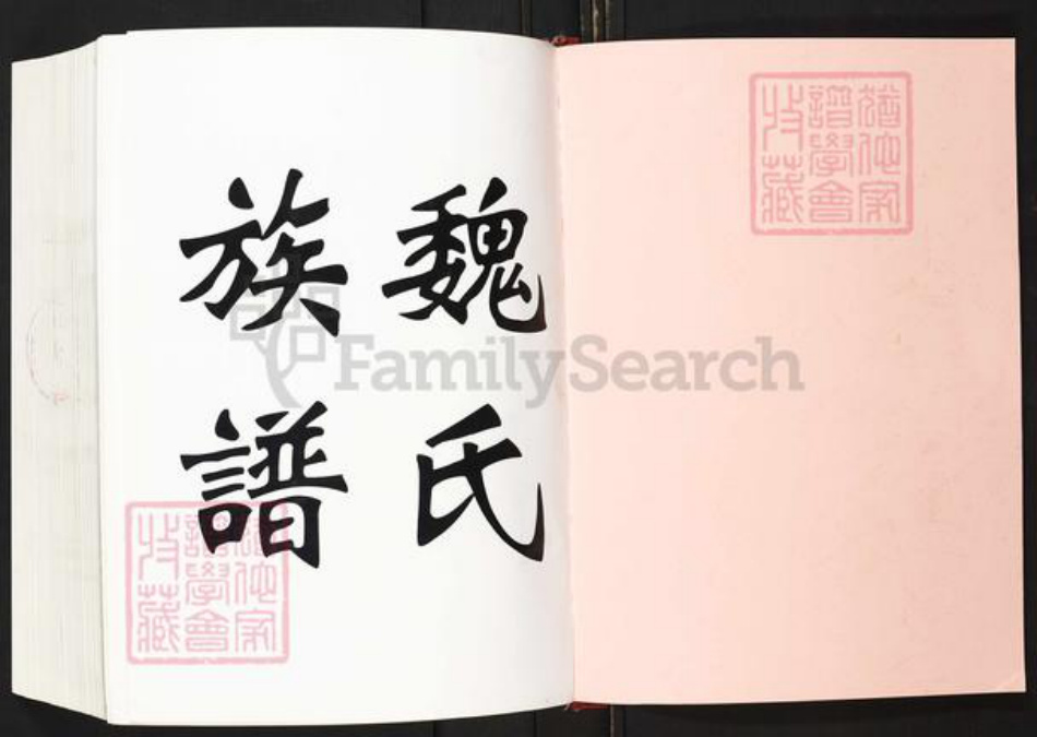 福建省福州市平潭县敖东镇魏氏族谱-平潭魏氏族谱.pdf电子版插图1