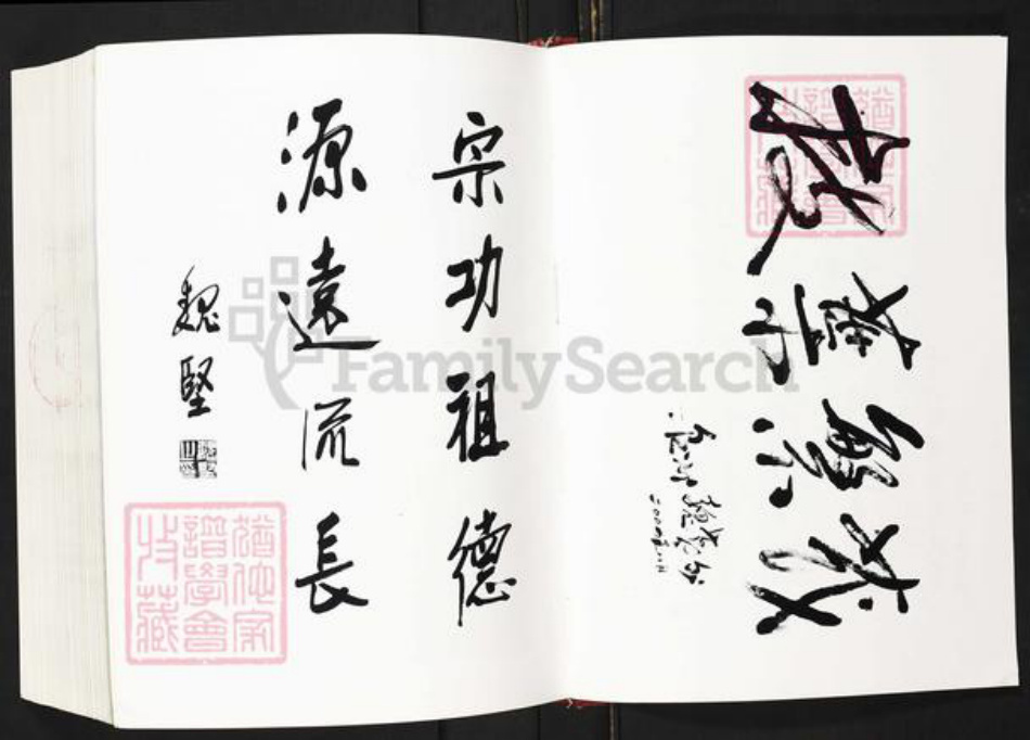 福建省福州市平潭县敖东镇魏氏族谱-平潭魏氏族谱.pdf电子版插图5