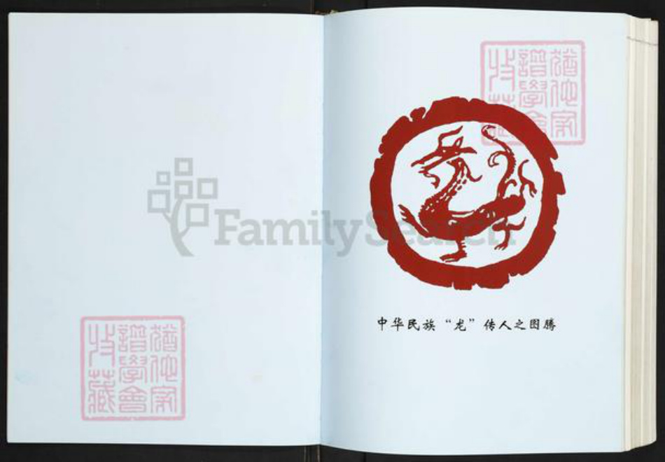 浙江省温州市苍南县魏氏族谱-苍南魏氏志.pdf电子版插图1