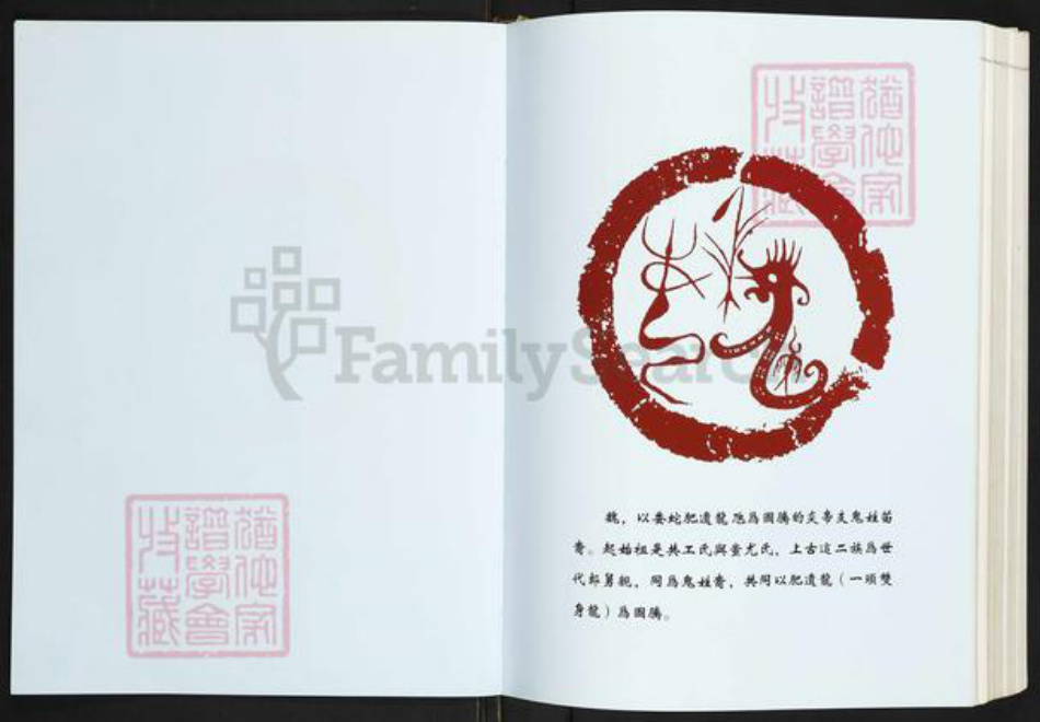 浙江省温州市苍南县魏氏族谱-苍南魏氏志.pdf电子版插图2