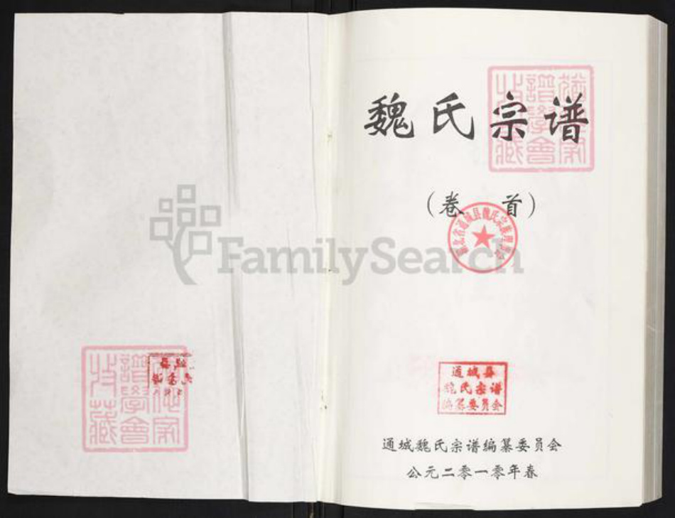 湖北省咸宁市通城县魏氏巨鹿堂族谱-魏氏宗谱.pdf电子版插图1