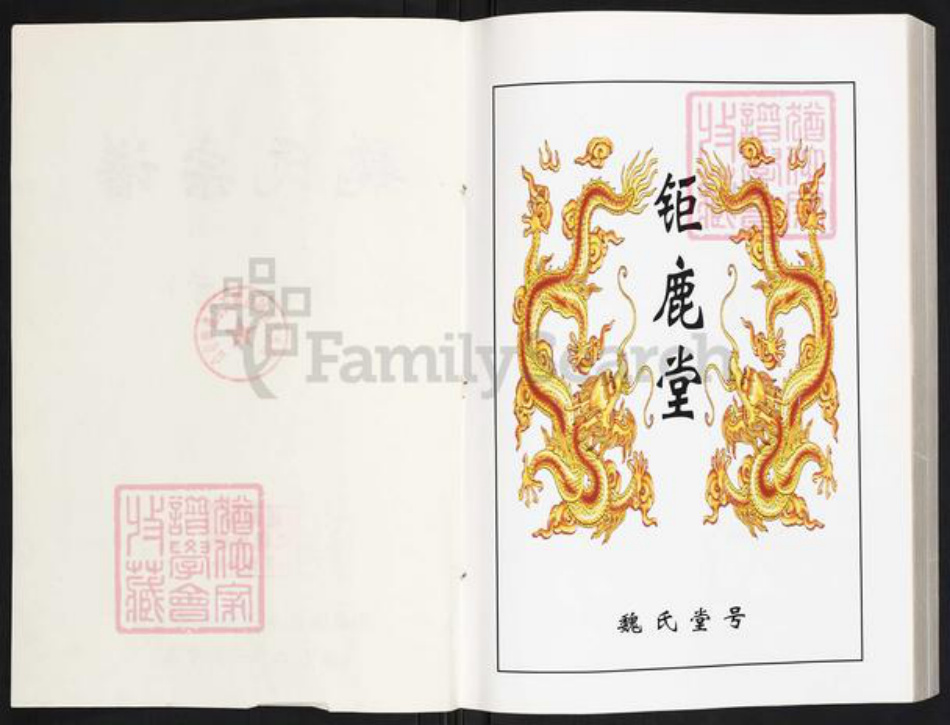 湖北省咸宁市通城县魏氏巨鹿堂族谱-魏氏宗谱.pdf电子版插图2