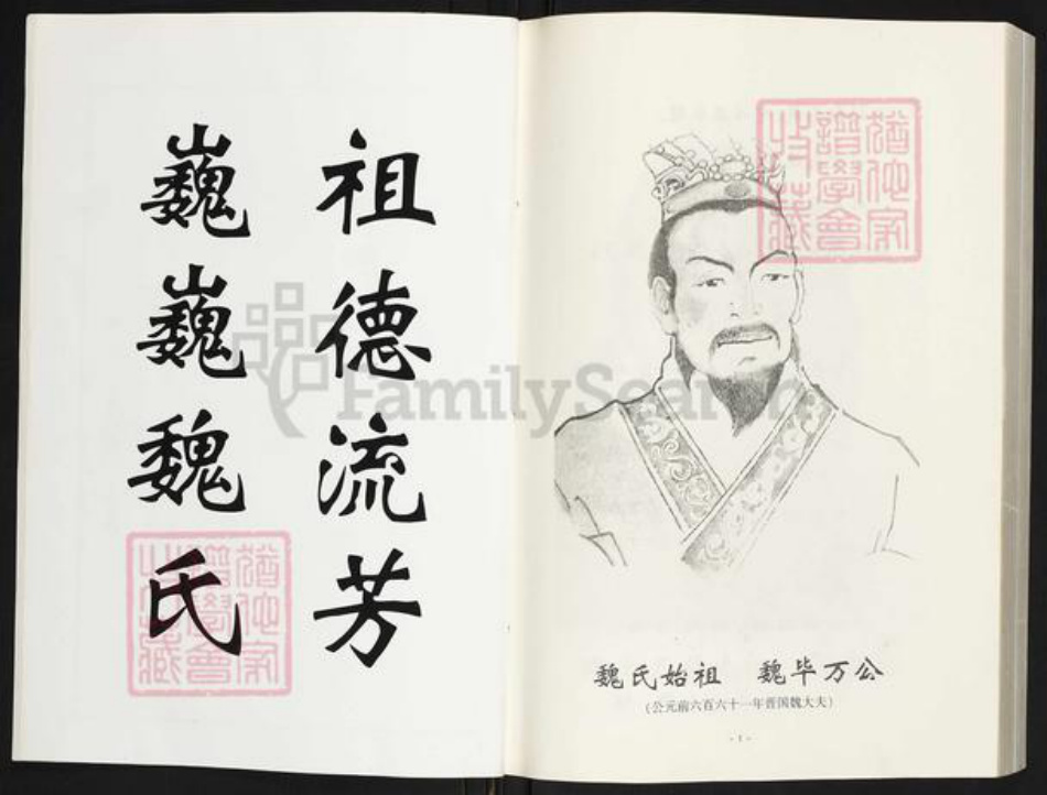 湖北省咸宁市通城县魏氏巨鹿堂族谱-魏氏宗谱.pdf电子版插图3