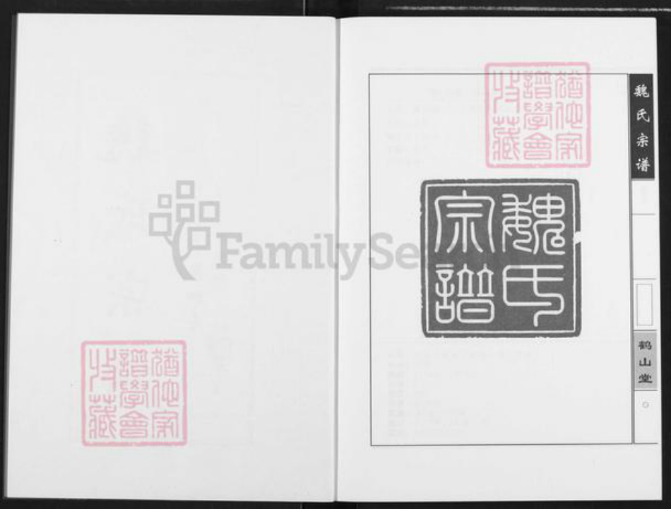 湖北省武汉市蔡甸区魏氏鹤山堂族谱-魏氏宗谱.pdf电子版插图2