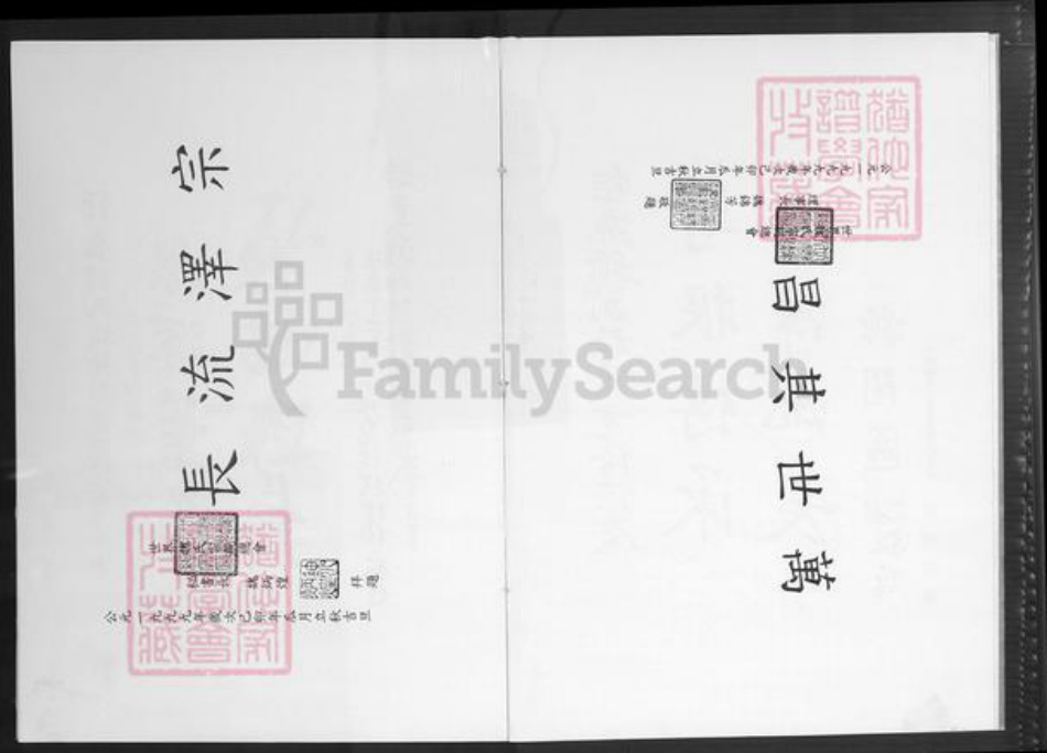 福建省漳州市南靖县梅林镇魏氏巨鹿堂族谱-巨鹿魏氏族谱.pdf电子版插图3