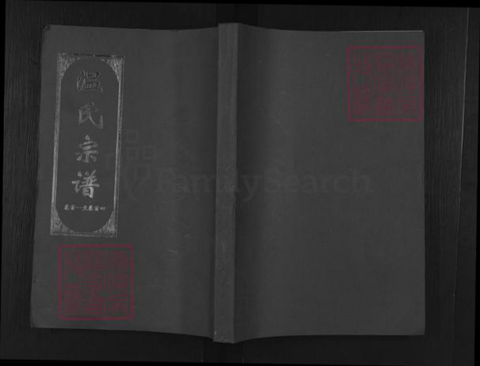 湖北省武汉市新洲区凤凰镇温氏清河堂族谱-温氏宗谱.pdf电子版插图