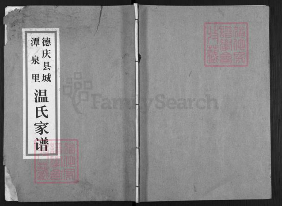广东省肇庆市德庆县温氏族谱-德庆县城潭泉里温氏家谱.pdf电子版插图