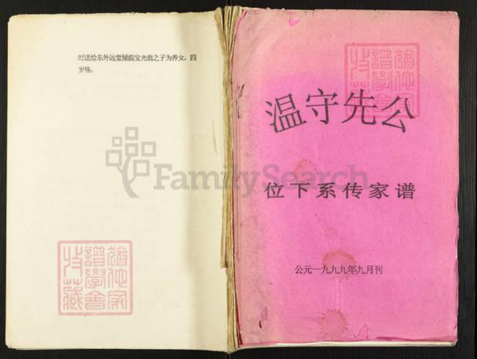 江西省赣州市石城县温氏族谱-温守先公位下系传家谱.pdf电子版插图