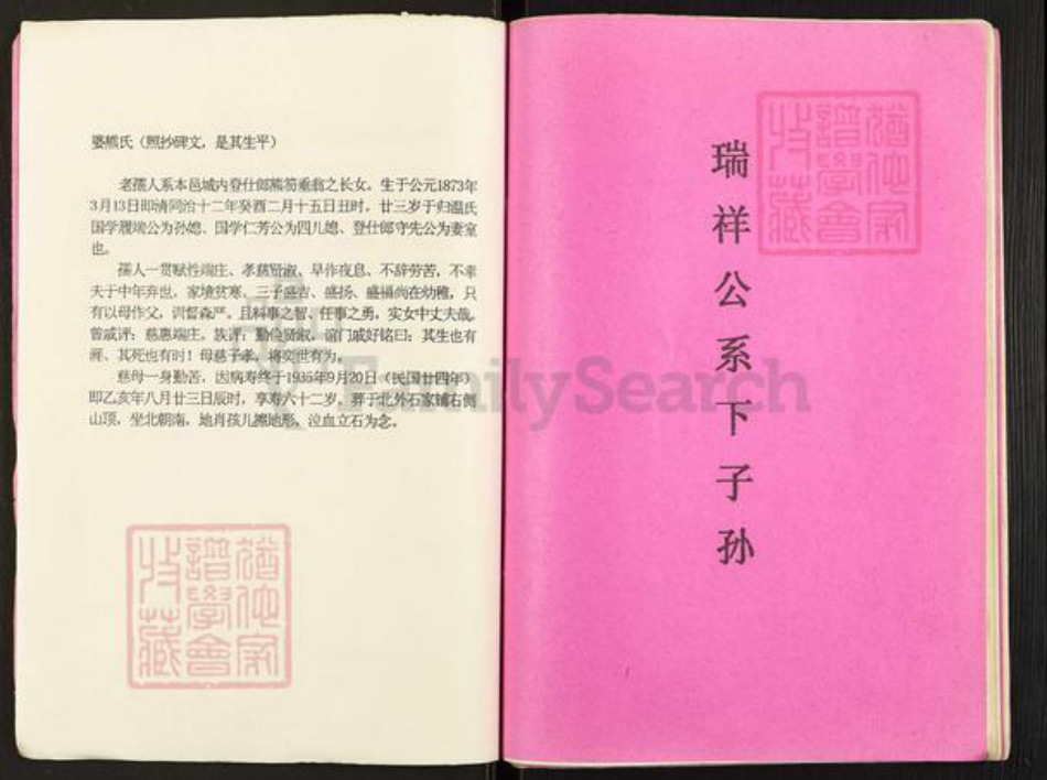 江西省赣州市石城县温氏族谱-温守先公位下系传家谱.pdf电子版插图3