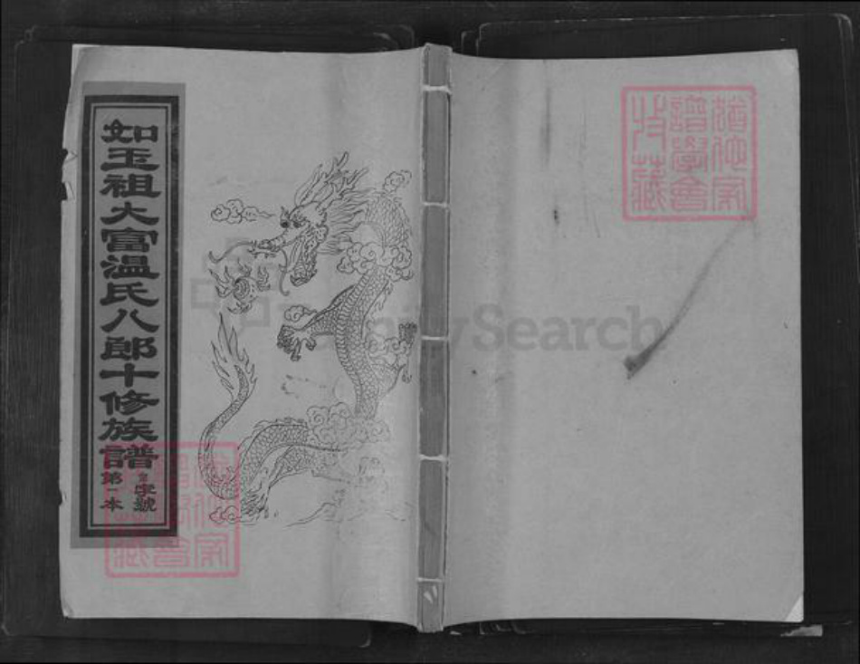 江西省赣州市宁都县竹笮乡温氏族谱-如玉祖大富温氏八郎十修族谱.pdf电子版插图