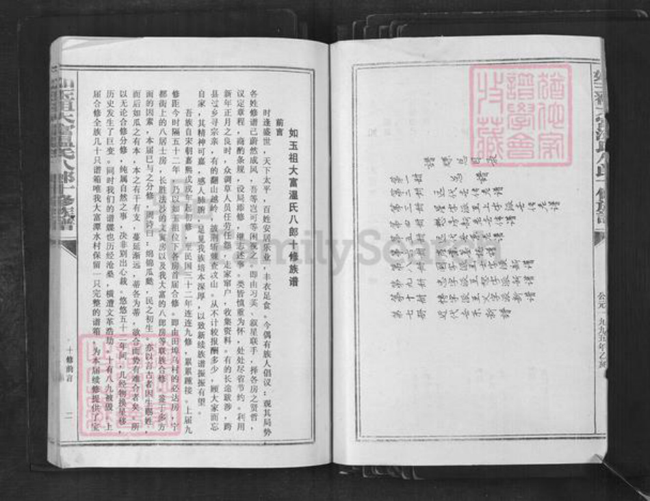 江西省赣州市宁都县竹笮乡温氏族谱-如玉祖大富温氏八郎十修族谱.pdf电子版插图2
