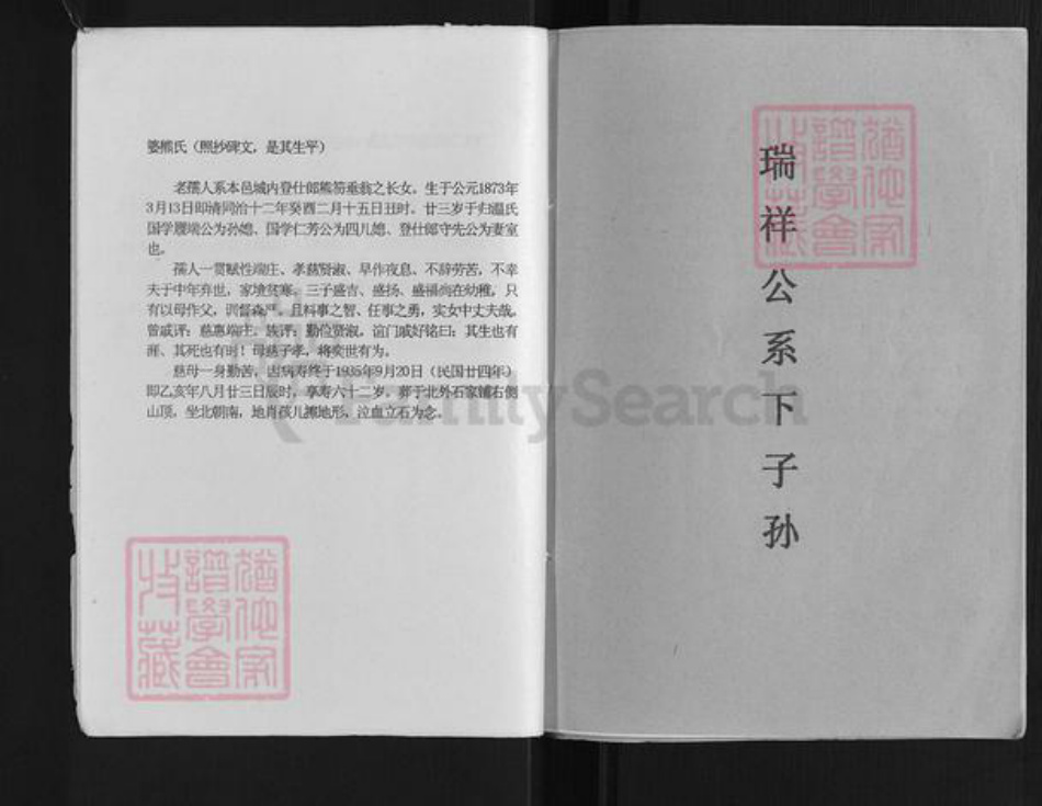 江西省赣州市石城县温氏族谱-温守先公位下系传家谱.pdf电子版插图3
