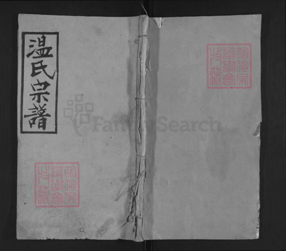湖北省武汉市新洲区温氏清河堂族谱-温氏宗谱.pdf电子版插图