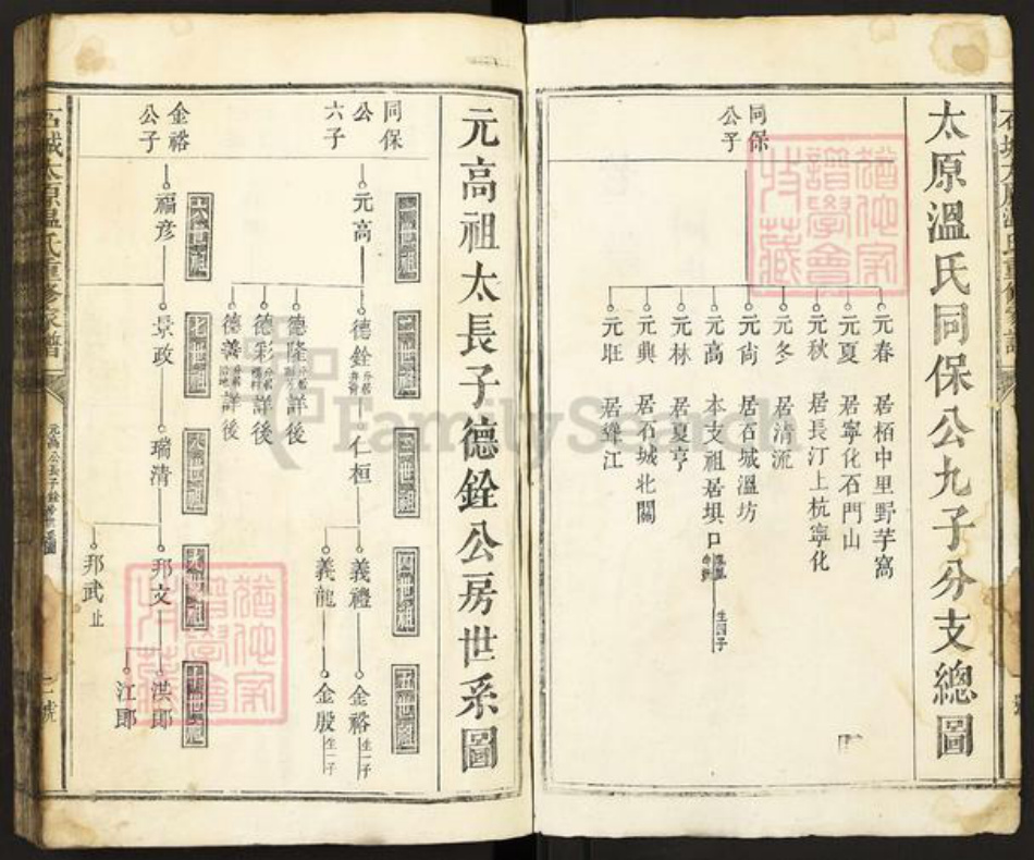 江西省赣州市石城县琴江镇温氏族谱-石城太原温氏重修家谱.pdf电子版插图2