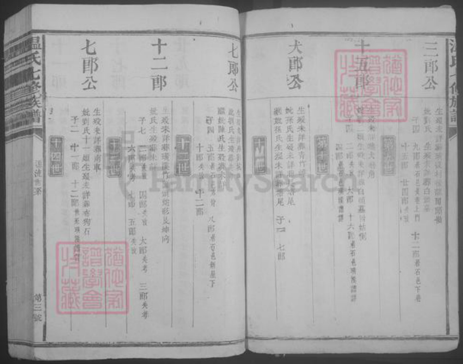 江西省赣州市石城县温氏族谱-温氏七修族谱.pdf电子版插图3