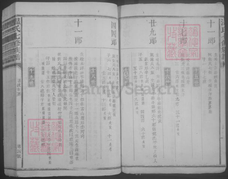 江西省赣州市石城县温氏族谱-温氏七修族谱.pdf电子版插图4
