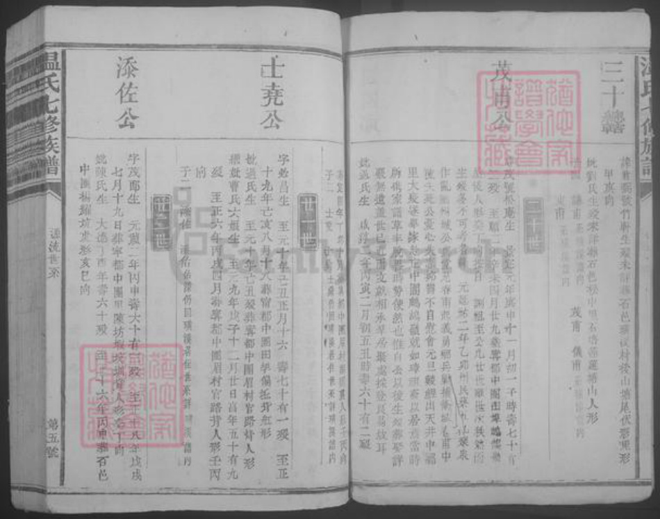 江西省赣州市石城县温氏族谱-温氏七修族谱.pdf电子版插图5