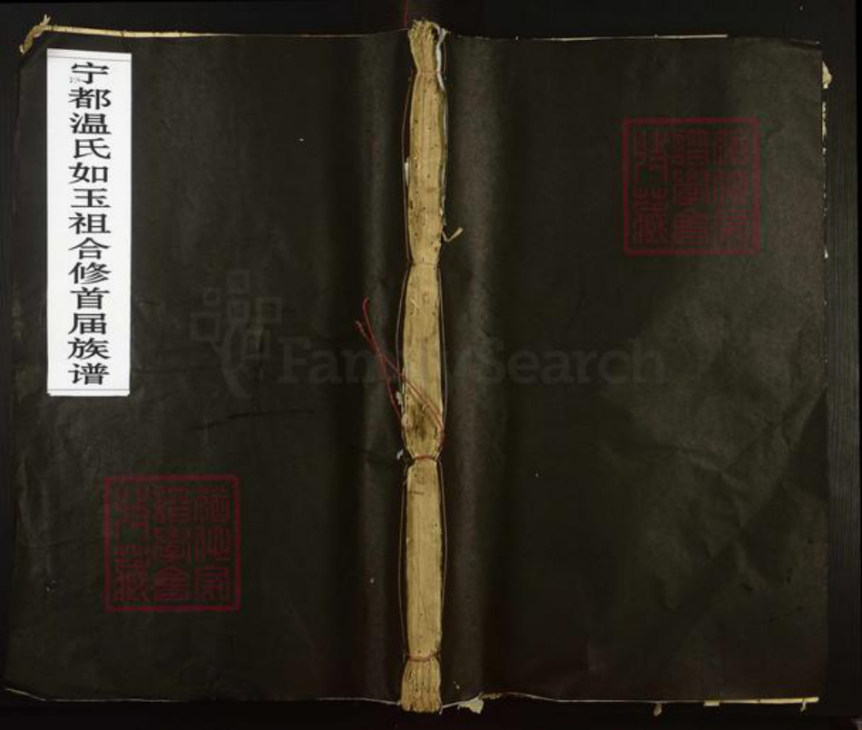 江西省赣州市宁都县温氏族谱-宁都温氏如玉祖合修首届族谱.pdf电子版插图 江西省赣州市宁都县温氏族谱-宁都温氏如玉祖合修首届族谱.pdf电子版插图