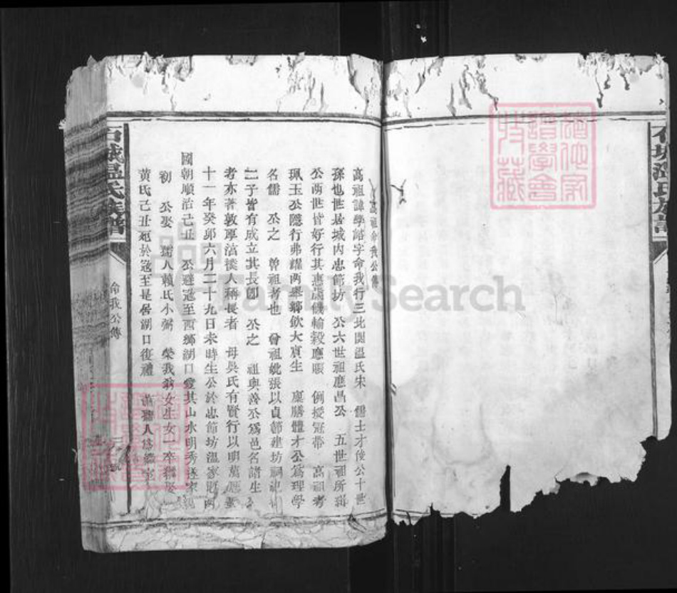 山西省长治市平顺县石城镇温氏族谱-石城温氏族谱.pdf电子版插图3