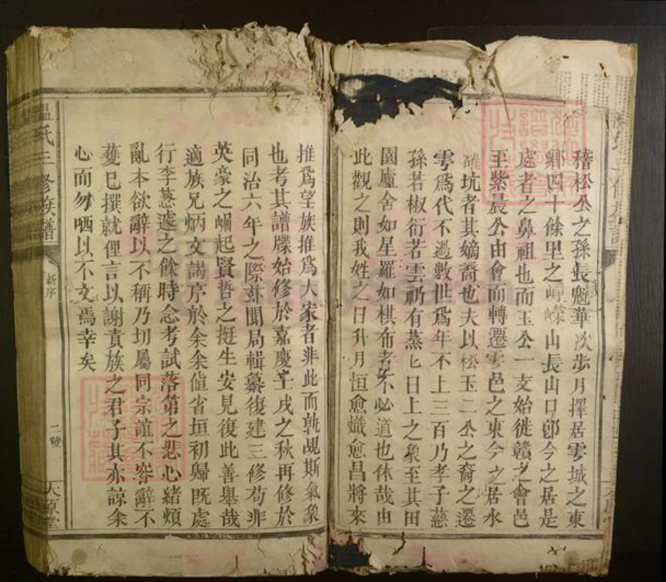江西省温氏族谱-温氏三修族谱.pdf电子版插图2 江西省温氏族谱-温氏三修族谱.pdf电子版插图2