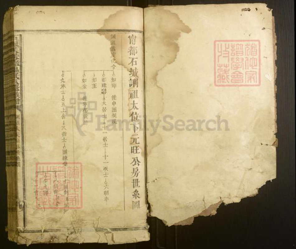 江西省赣州市宁都县温氏族谱-石城芙蓉墩温氏八修族谱[不分卷].pdf电子版插图1