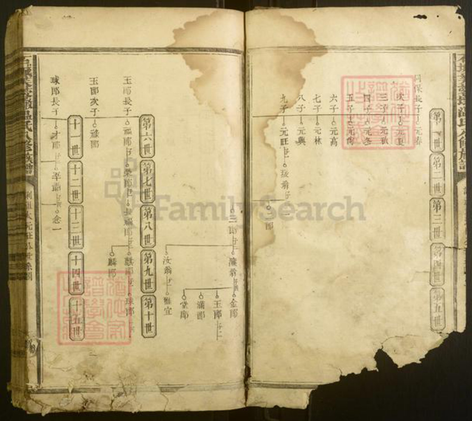 江西省赣州市宁都县温氏族谱-石城芙蓉墩温氏八修族谱[不分卷].pdf电子版插图2