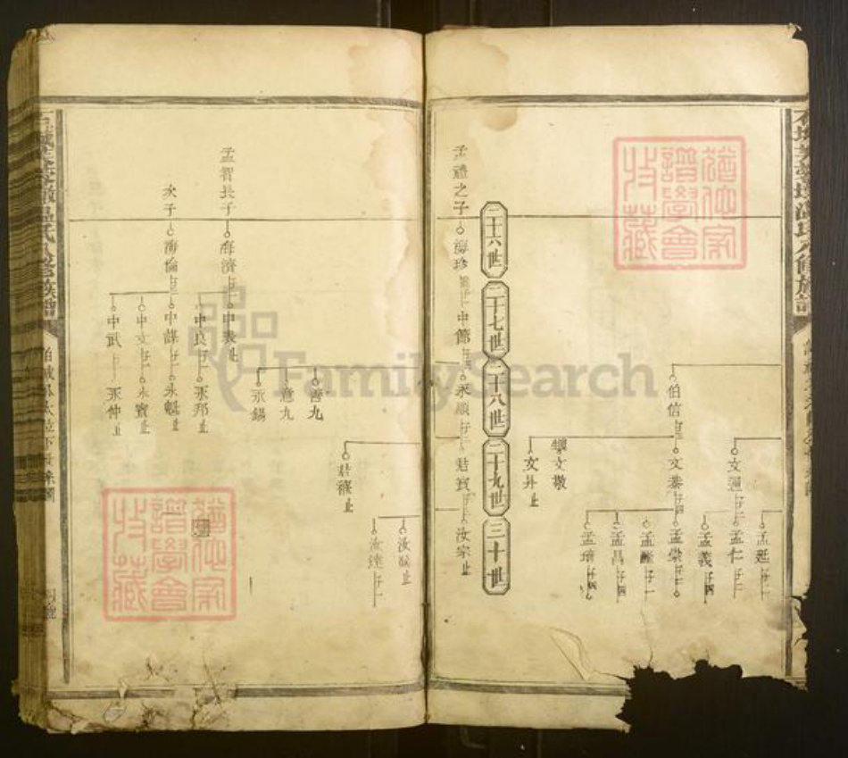 江西省赣州市宁都县温氏族谱-石城芙蓉墩温氏八修族谱[不分卷].pdf电子版插图4