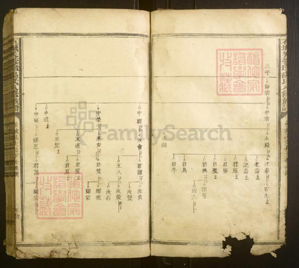 江西省赣州市宁都县温氏族谱-石城芙蓉墩温氏八修族谱[不分卷].pdf电子版插图5