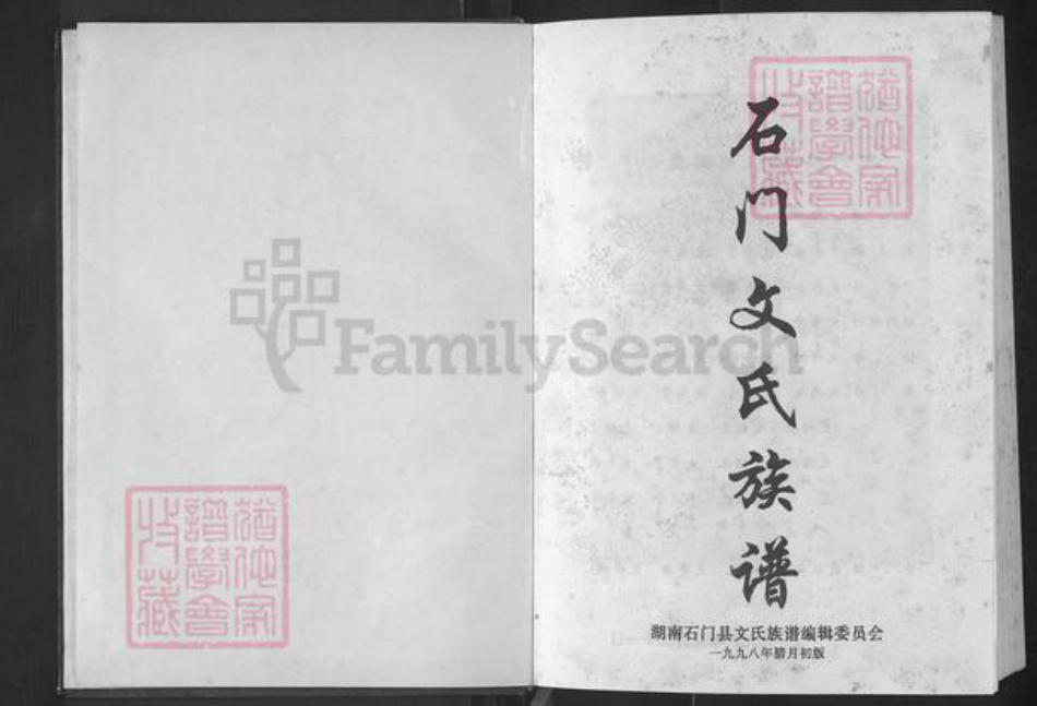 湖南省常德市石门县维新镇文氏正气堂族谱-石门文氏族谱.念三公世系.pdf电子版插图1