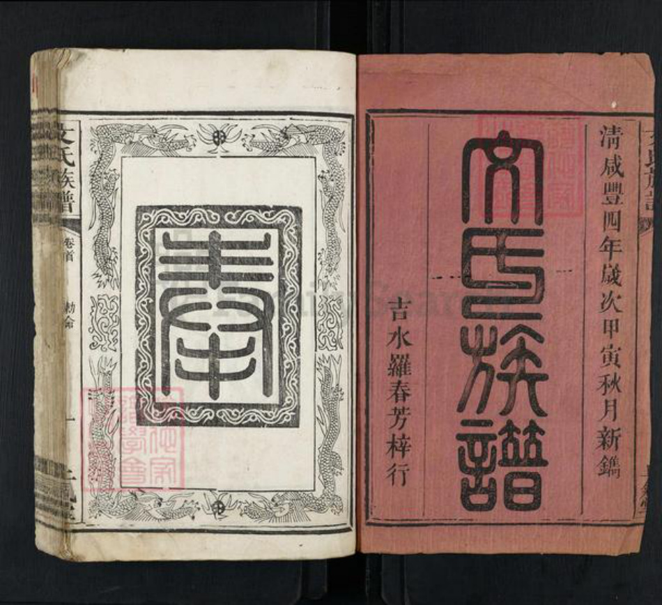 江西省吉安市永新县莲洲乡文氏正气堂族谱-文氏族谱.pdf电子版插图1