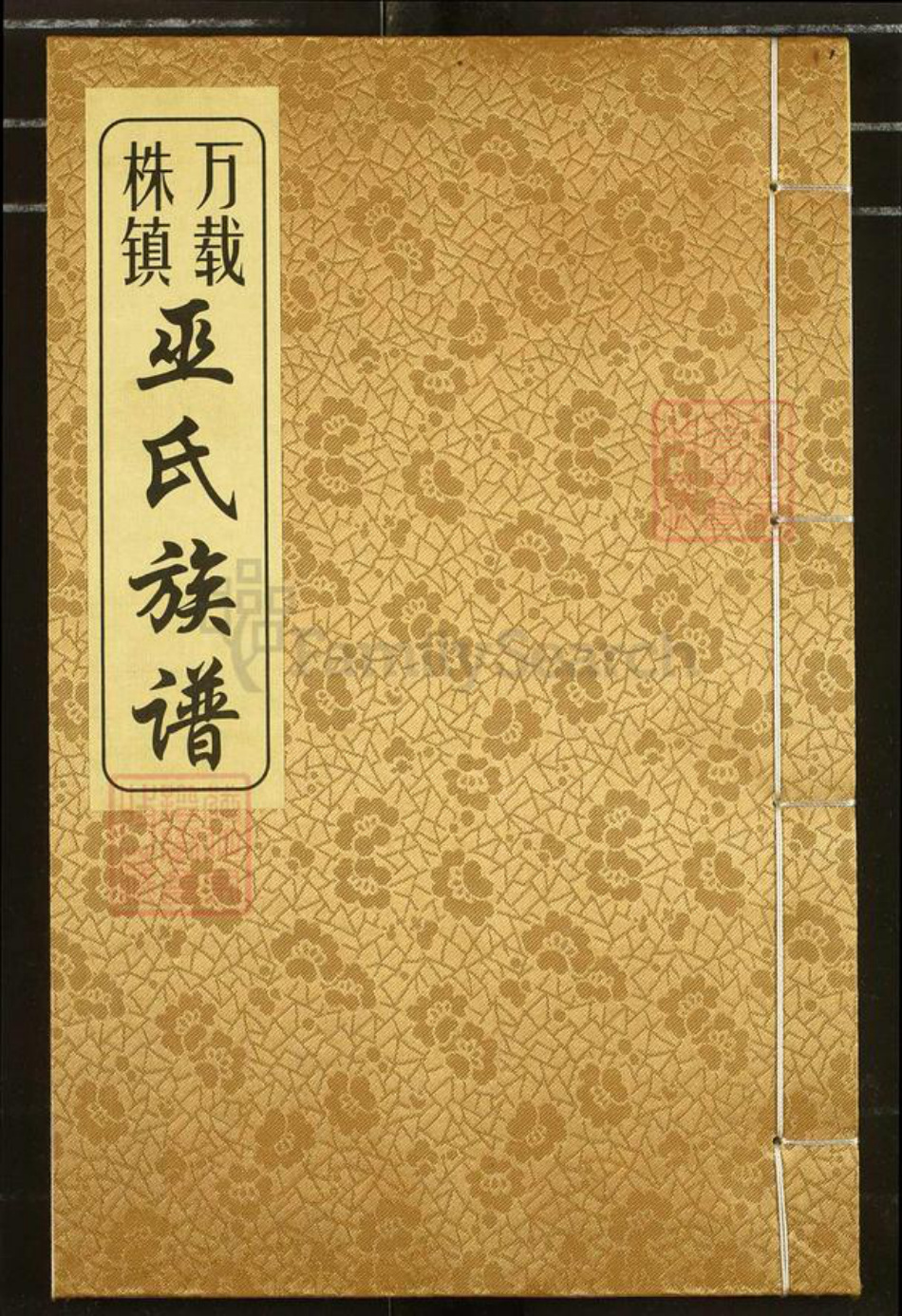 广东省梅州市兴宁市罗岗镇巫氏平阳堂族谱-万载株镇巫氏族谱.pdf电子版插图