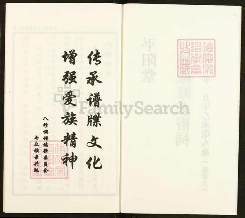 广东省梅州市兴宁市罗岗镇巫氏平阳堂族谱-万载株镇巫氏族谱.pdf电子版插图2