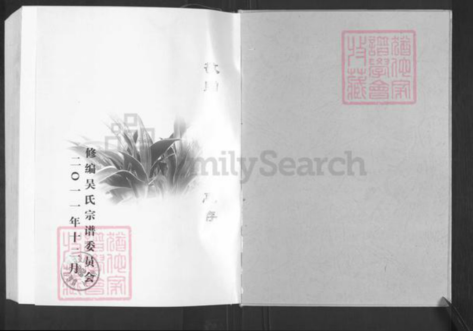 江苏省盐城市亭湖区吴氏至德堂族谱-吴氏宗谱.pdf电子版插图1