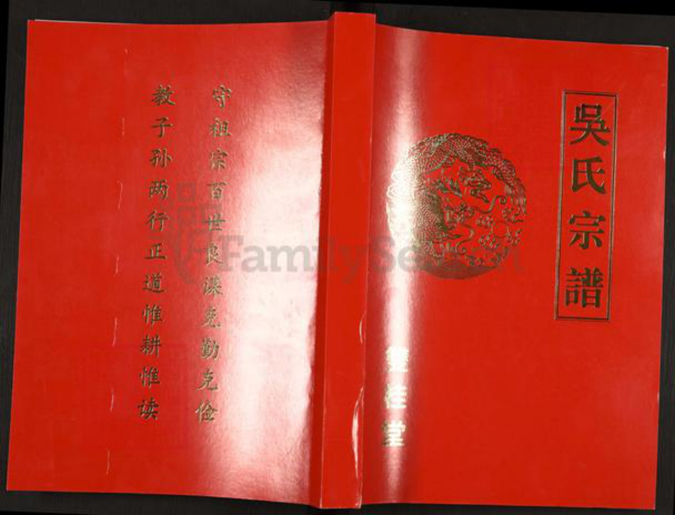 江苏省扬州市高邮市高邮街道吴氏双桂堂族谱-吴氏宗谱.pdf电子版