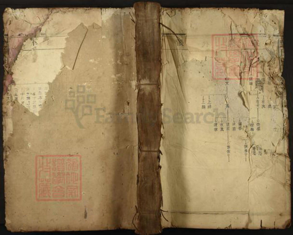 江西省抚州市临川区吴氏渤海堂族谱-吴氏族谱.pdf电子版