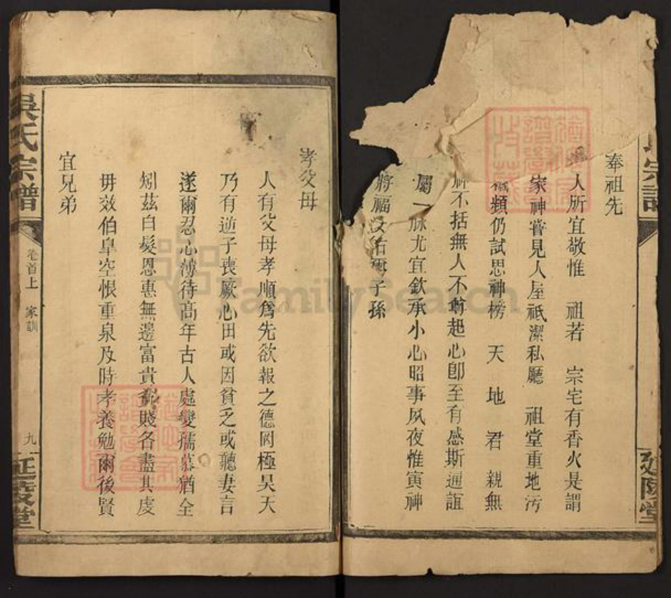 福建省三明市建宁县吴氏延陵堂族谱-吴氏宗谱.pdf电子版插图2