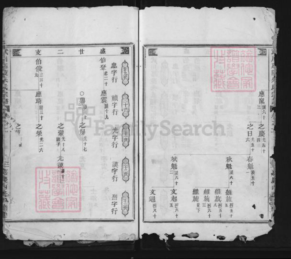 浙江省金华市武义县吴氏族谱-武川延陵吴氏宗谱.pdf电子版插图5