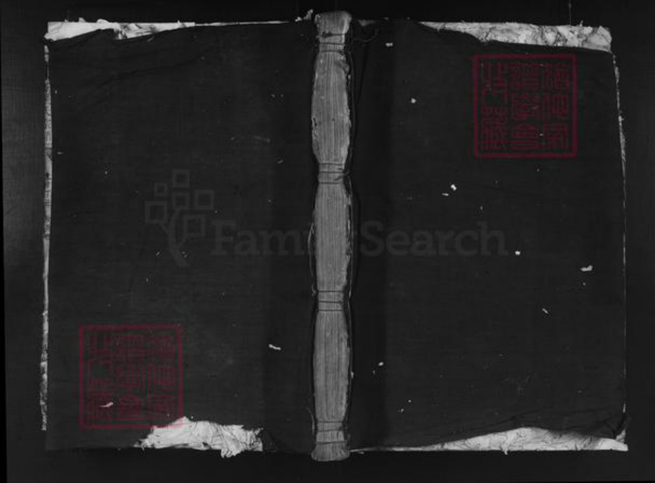 浙江省丽水市松阳县玉岩镇吴氏族谱-周安吴氏宗谱.pdf电子版