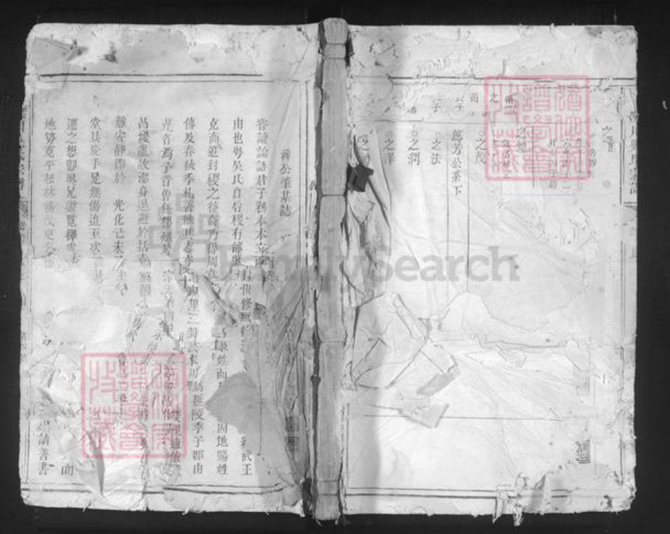 浙江省丽水市龙泉市城北乡吴氏恒信堂族谱-陂川吴氏宗谱.pdf电子版插图 浙江省丽水市龙泉市城北乡吴氏恒信堂族谱-陂川吴氏宗谱.pdf电子版插图