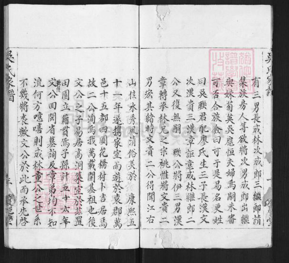 福建省龙岩市武平县永平乡吴氏覆𨛦堂族谱-吴氏家谱.pdf电子版插图2