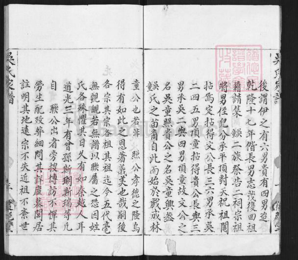 福建省龙岩市武平县永平乡吴氏覆𨛦堂族谱-吴氏家谱.pdf电子版插图3