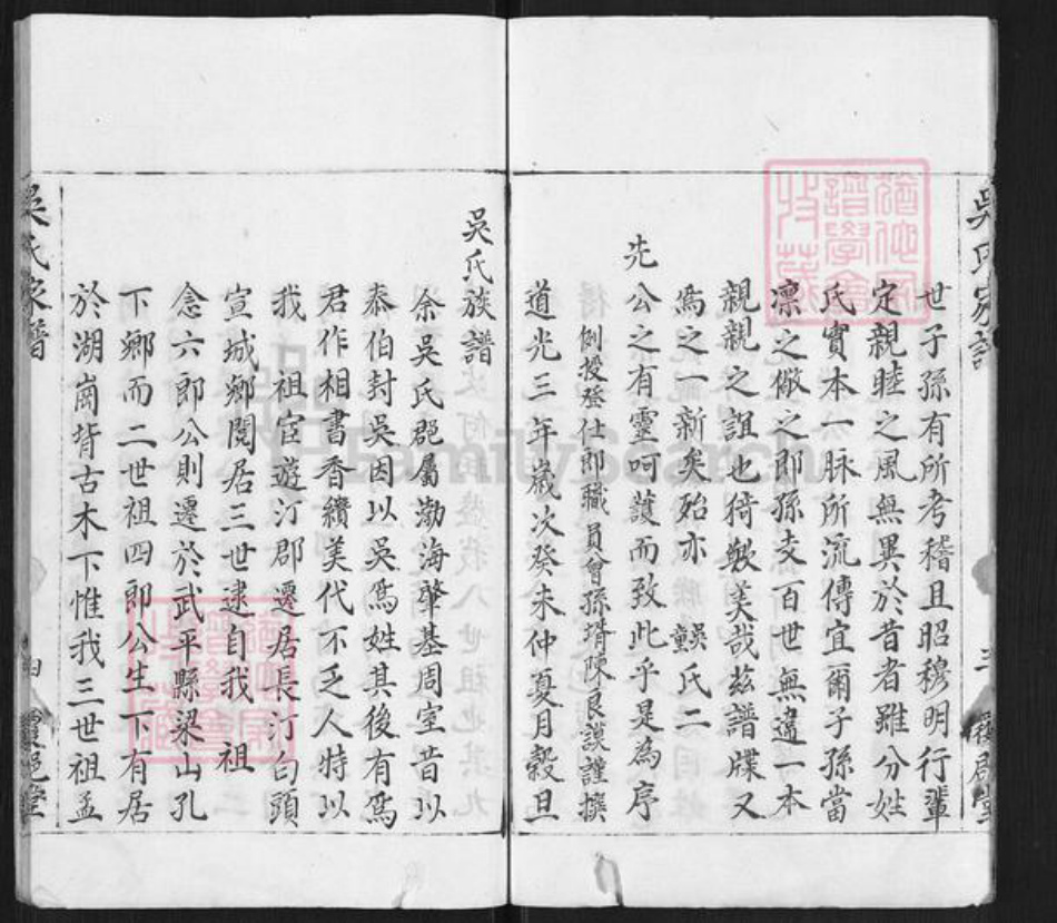 福建省龙岩市武平县永平乡吴氏覆𨛦堂族谱-吴氏家谱.pdf电子版插图4