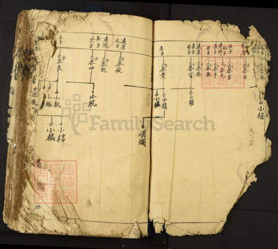 江西省宜春市丰城市吴氏族谱-丰邑罗山吴氏草谱.pdf电子版插图2 江西省宜春市丰城市吴氏族谱-丰邑罗山吴氏草谱.pdf电子版插图2