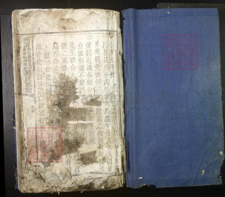 江西省赣州市吴氏族谱-赣州府.赣县清溪玉井.雩都虾蟆石.吴氏族谱[不分卷].pdf电子版插图1