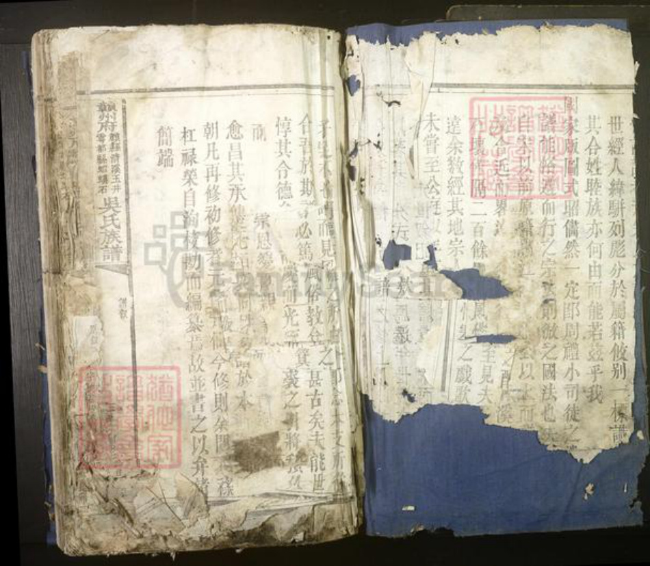 江西省赣州市吴氏族谱-赣州府.赣县清溪玉井.雩都虾蟆石.吴氏族谱[不分卷].pdf电子版插图2