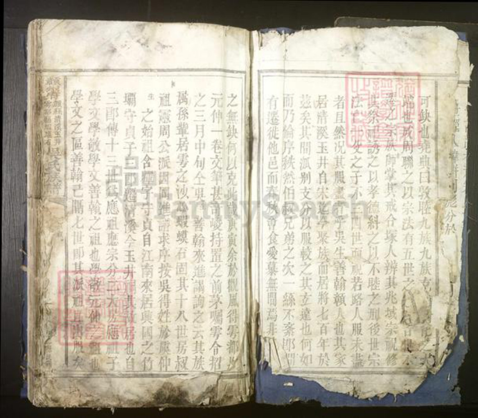 江西省赣州市吴氏族谱-赣州府.赣县清溪玉井.雩都虾蟆石.吴氏族谱[不分卷].pdf电子版插图3