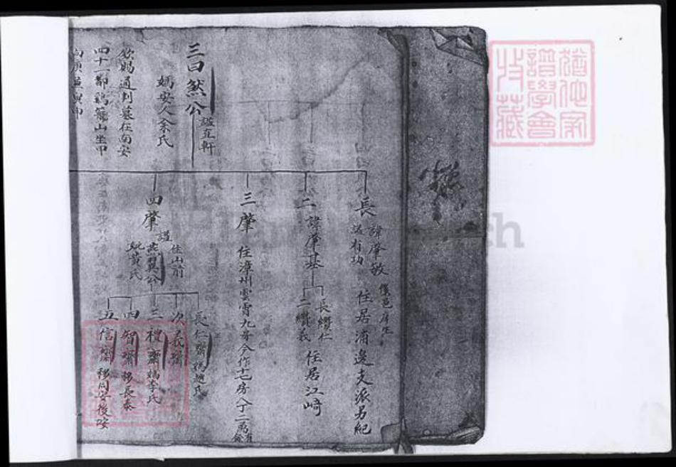 福建省泉州市吴氏族谱-鸡峰吴氏开分三房族谱.pdf电子版插图4