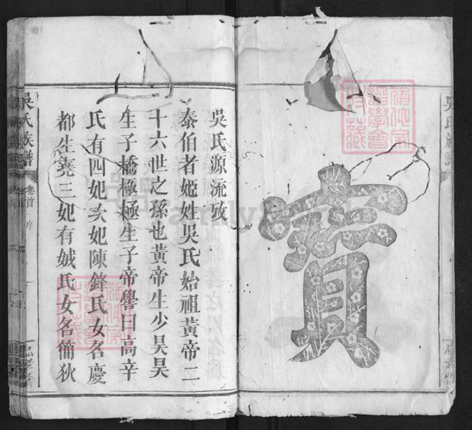 湖南省益阳市吴氏族谱-吴氏族谱.pdf电子版插图3 湖南省益阳市吴氏族谱-吴氏族谱.pdf电子版插图3